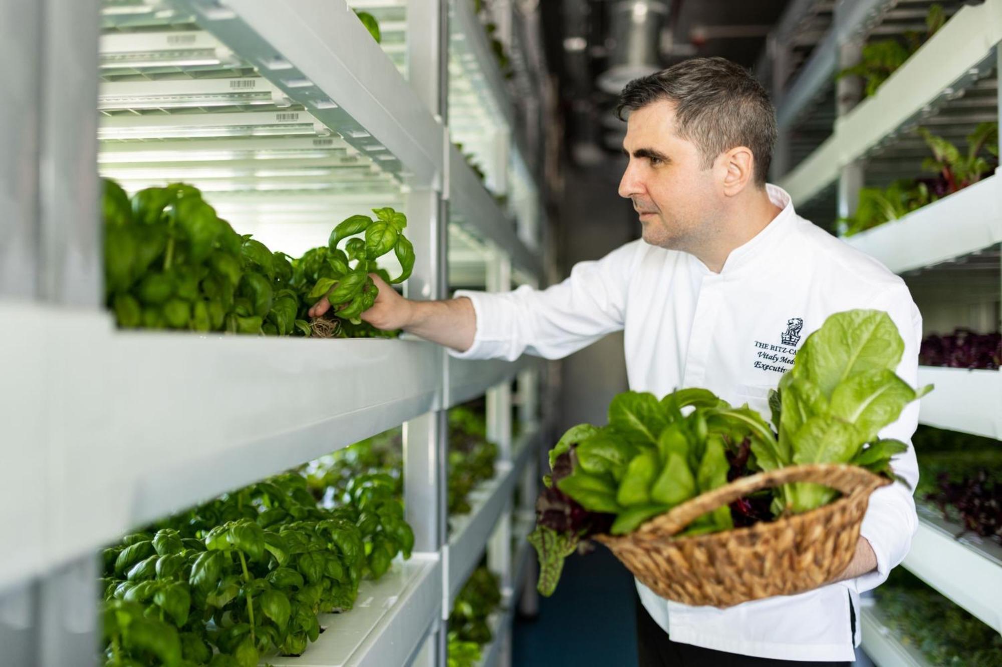 The Ritz-Carlton Abu Dhabi, Grand Canal Hotel Exterior photo Lettuce grown in the International Space Station's Destiny laboratory